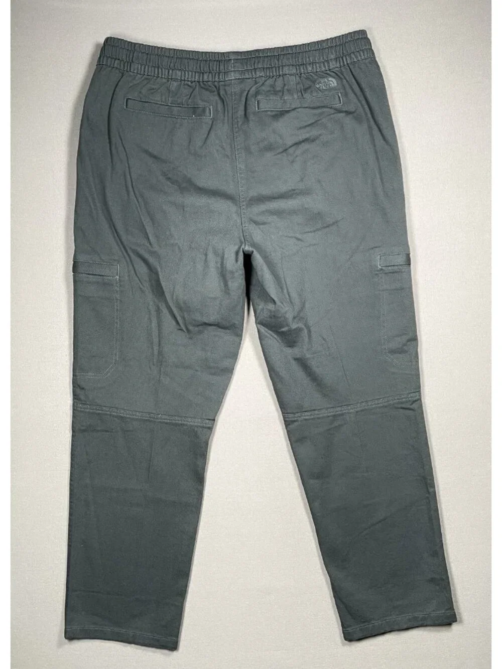 NWT The North Face Field Elastic Cargo Asphalt Grey Pants - Men Size Large